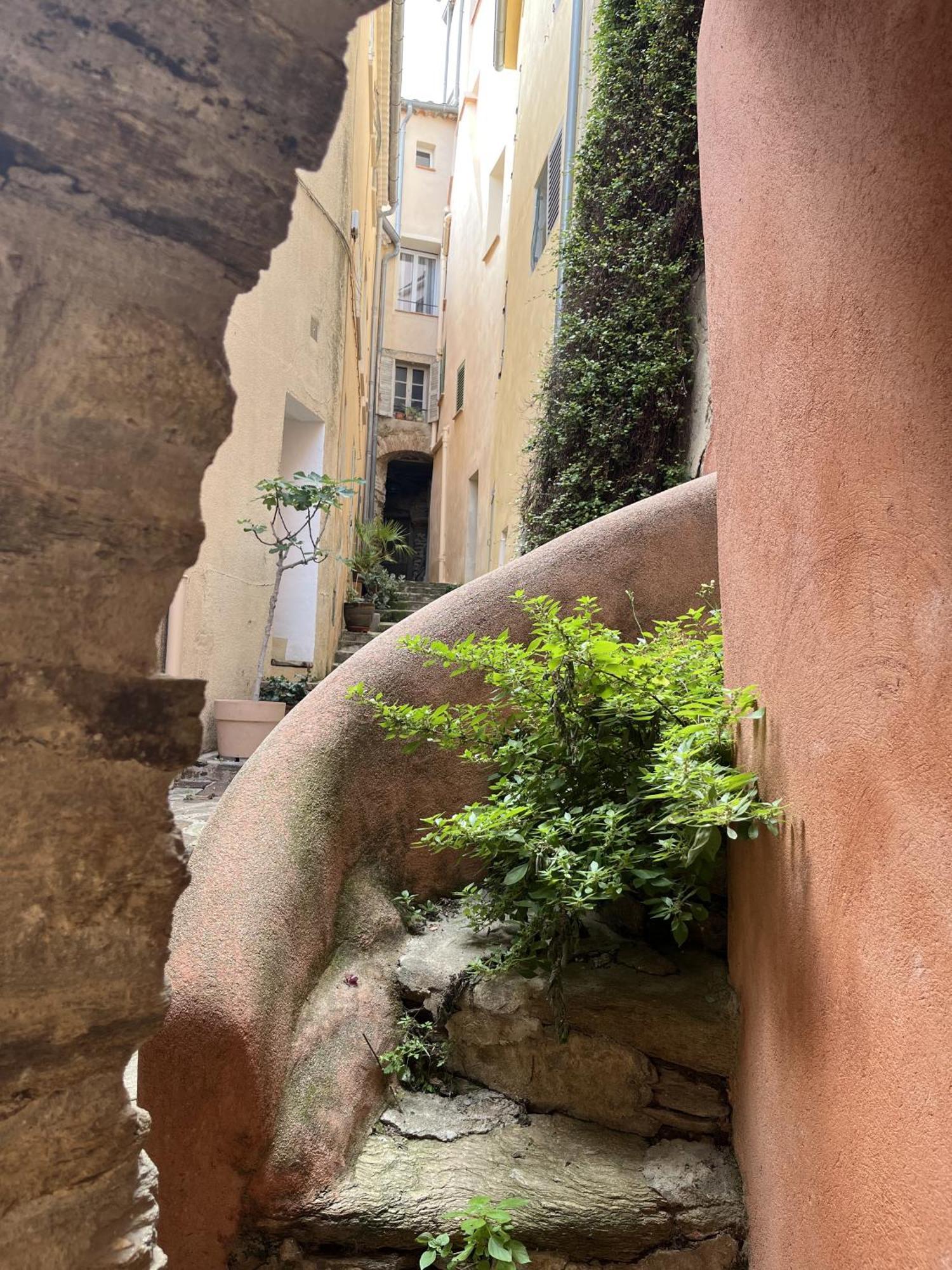 La Recampado Villa Bormes-les-Mimosas Exteriör bild